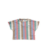 Multi Stripes | Cropped Tee | Multicolor