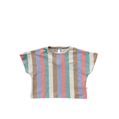 Multi Stripes | Cropped Tee | Multicolor